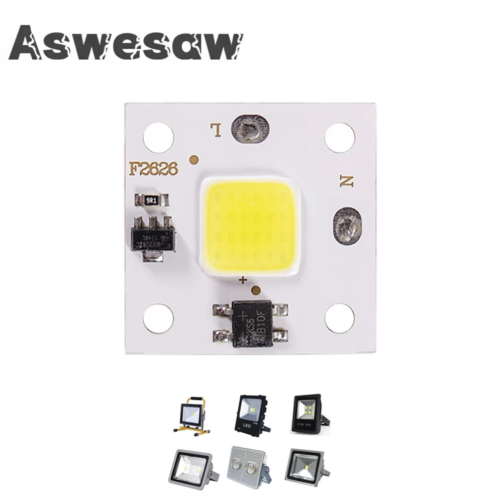 Outdoor Lighting For Backyard - 10W COB module 220V LED Chip