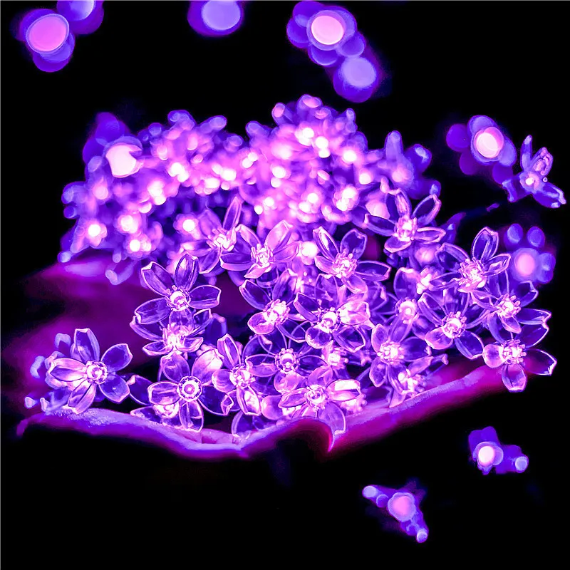 Solar Fairy String Light Sakur - Solar Fairy String 评论和价格