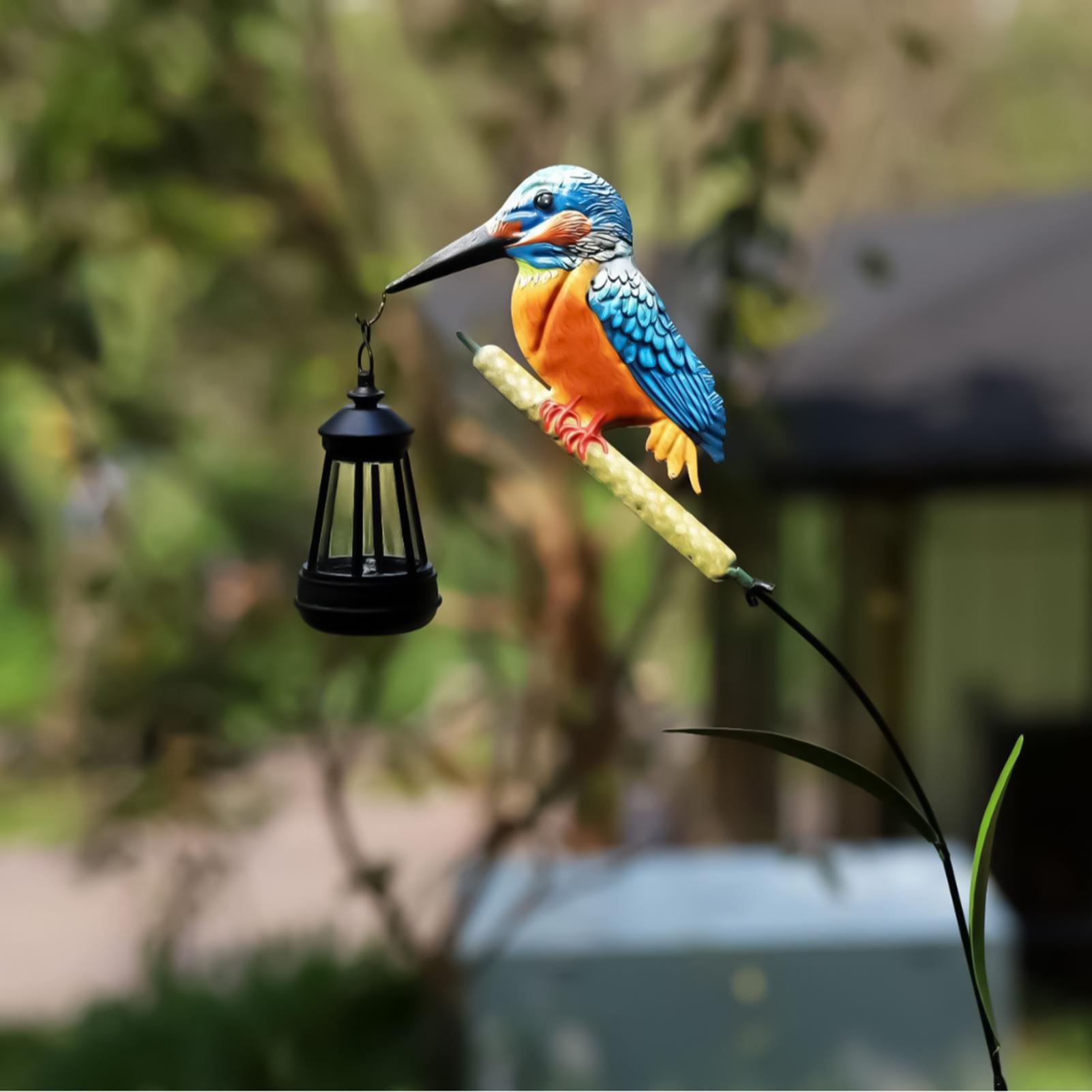 Solar Powered Kingfisher Light - Outdoor Lighting For Backyard 评论和价格