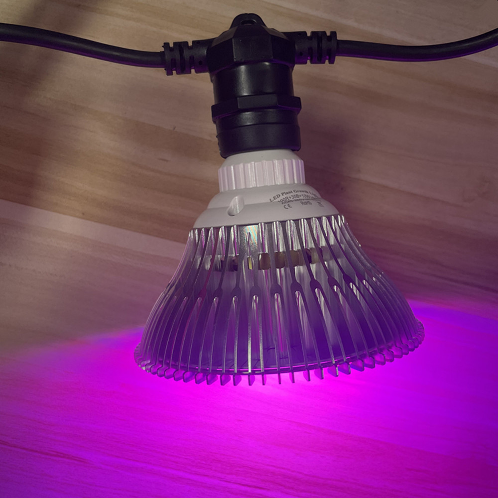 10M Cable LED String Commercia - Outdoor Lighting For Backyard 评论和价格