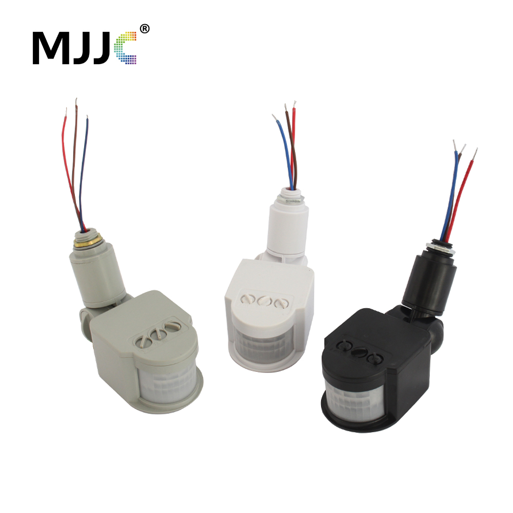 Motion Sensor 220V 12V Motion  - Outdoor Lighting Timer Switch 评论和价格