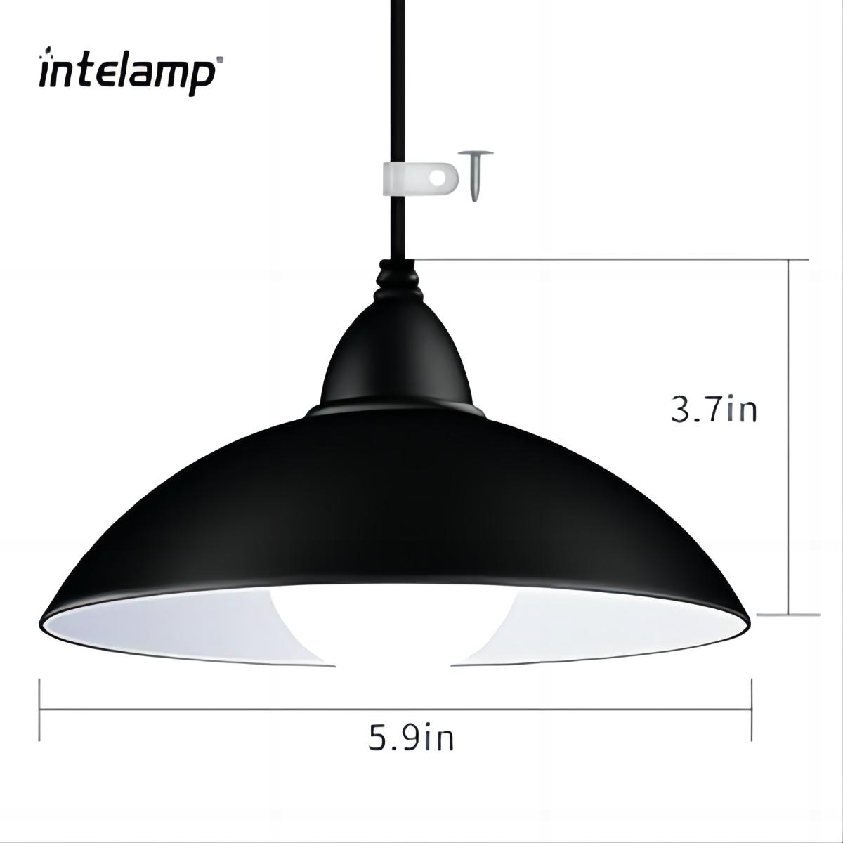 intelamp Solar Pendant Lights  - Outdoor Lighting Chandelier 评论和价格
